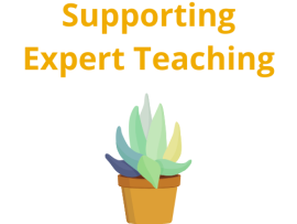 expert teaching