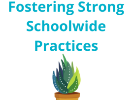 strong schoolwide practices